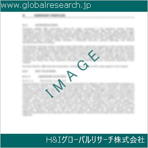 グローバルリサーチ調査資料のイメージ